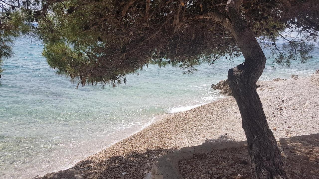 Apartment Aria Exclusive Petrcane Εξωτερικό φωτογραφία